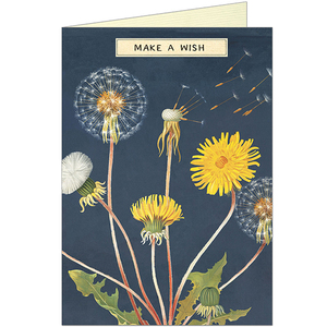 Card - Make a Wish